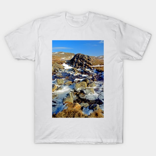 Cold Morning on the Mountainside T-Shirt by BrianPShaw